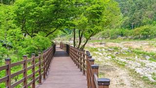 Gapyeong Yeheaden Pension - 5