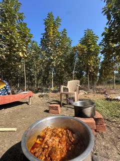 Hotel blossom Bhiwapur - 6