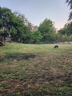 Casa en Panguipulli - 8