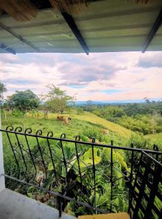 Alojamiento campestre Betania en el corazón del Quindio Espectacular! - 7