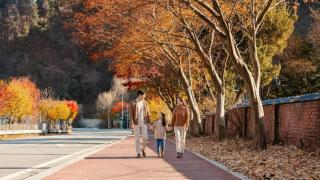 Byeolsaem Private House - 8