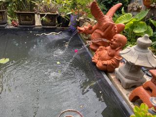 Merrypetch - Safety Beach - 5