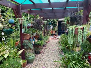 Merrypetch - Safety Beach - 3