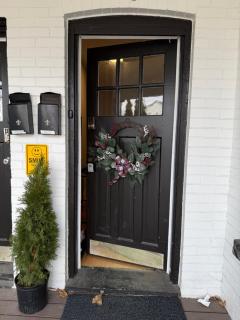 The Maple and Mist - 9