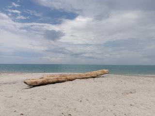 Nikki Beach Oceanfront Penthouse - 1