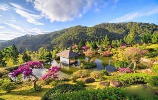 Nhà nguyên căn trung tâm Đà Lạt - Nước nóng mạnh - Check in dễ - 0