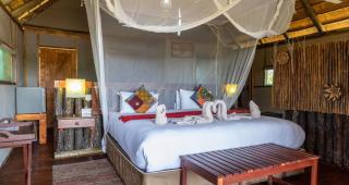 Chobe Mopani Forest Lodge - 4