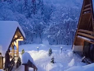 Cabana Aframe Blidari - 8