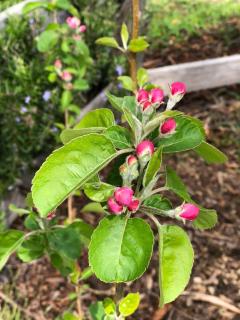 King Bed Studio in the Heart of Richmond - 9