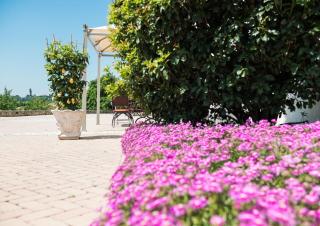 Phi Hotel Astoria - Susegana - 7
