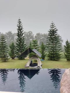 สะพรั่งกลางขุนเขา - Saprung on the mountain - 5