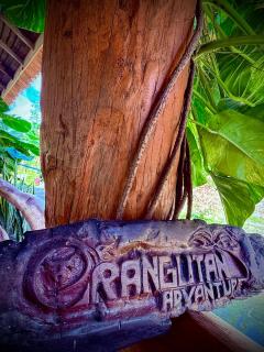 Mimpi of Orangutan Adventure, TREK ONLY BOOK WITH US - 8