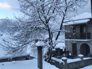 Metsovo Fireplace Retreat I - 3