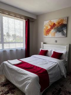 Nairobi - Fast Wifi, swimming pool, gym - 0
