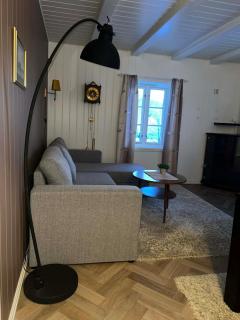 The house in Vika - 9