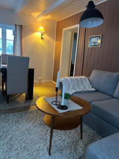 The house in Vika - 7