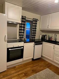 The house in Vika - 5