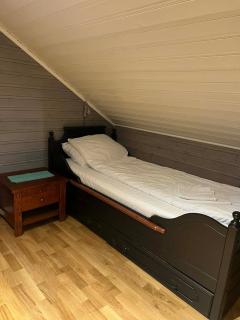 The house in Vika - 4