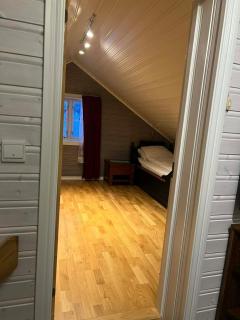 The house in Vika - 1