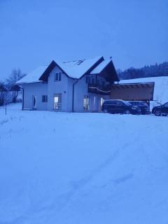 Cabana Trei Brazi - 9