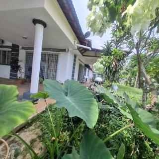 Freedom Guest House - 3