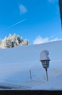 Hotel Garni Enzian - Damuls - 8