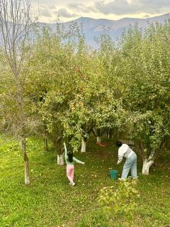 Dez Guest House with Mountain View - 7