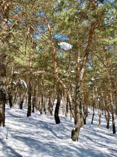 Dez Guest House with Mountain View - 6