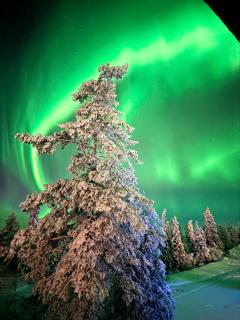 AuroraLevi Suites Utsuvaara Northern Lights Retreat, Ski-In-out, 2 ski pass included to price - Levi - 7