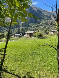 Casa Grailè - Alpine apartment in Valtellina - 9