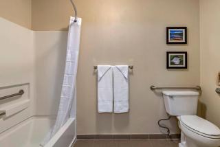 Comfort Inn Columbia Gorge - 3