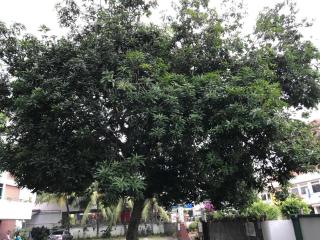 Lai Ming Hotel Cosmoland - Singapur - 1