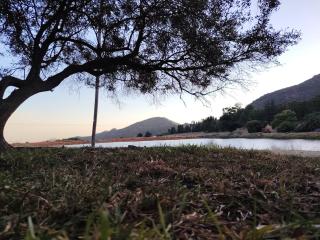 Polderland Private Campsite - Next to Cottage - 9