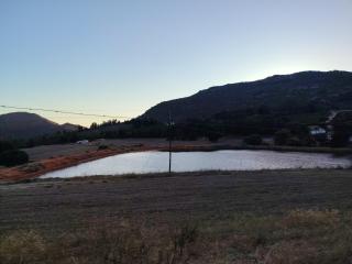 Polderland Private Campsite - Next to Cottage - 4