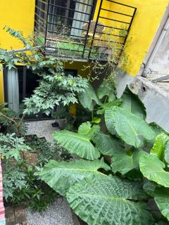 ỐC Homestay Cat Ba - 7