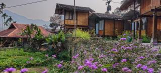 Pi Noọng Homestay & bungalow - Lan Hung - 8