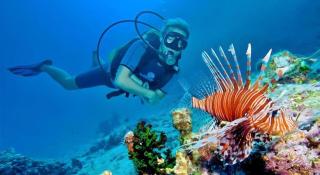 La Isla Bonita - Guraidhoo - 2