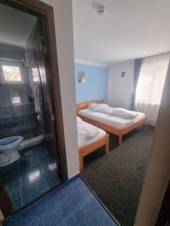 Pensiune Restaurant Sfinx - 6