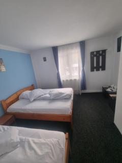 Pensiune Restaurant Sfinx - 8