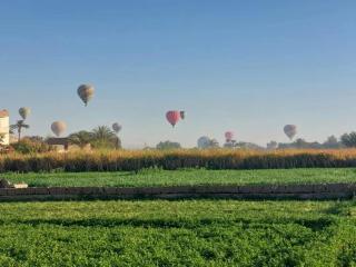 Osama House Luxor - 6