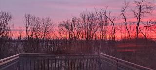 Villa Atlantica B&B - 7