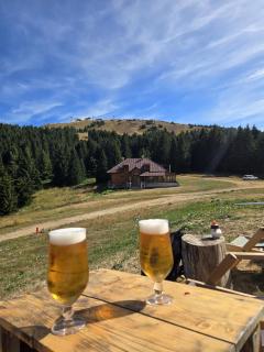 Kopaonik Milmari & Spa N Lux 90 - 7