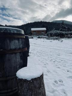 The Farmhouse - Vytina - 7