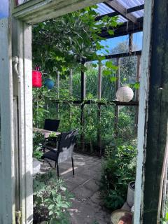 Tiny house in a large garden close to Copenhagen - 3