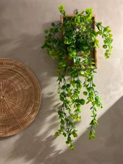 Lesbase Female 8-Bed Room - 6