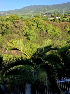 Le Paille en Queue - 7