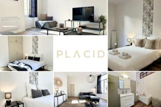 LE WLÉRICK LUMINEUX - Spacieux - Hyper Centre - 9