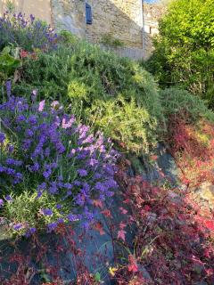 Maison de campagne avec piscine - 4