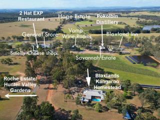 Blaxlands Kangaroo Homestead with Hot Tub walk to Concerts and Wineries - Pokolbin - 9