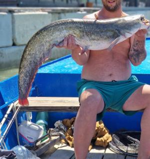 Complex Turistic Emilio - 1